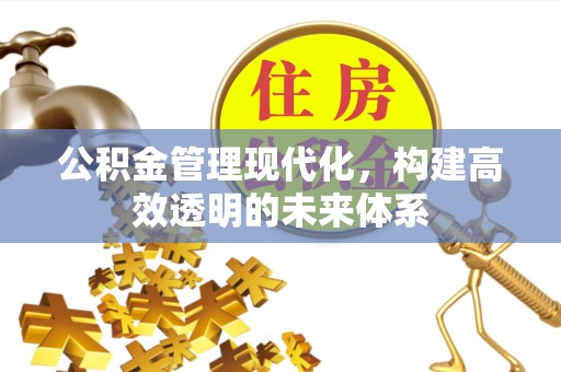 中堂公积金管理现代化，构建高效透明的未来体系