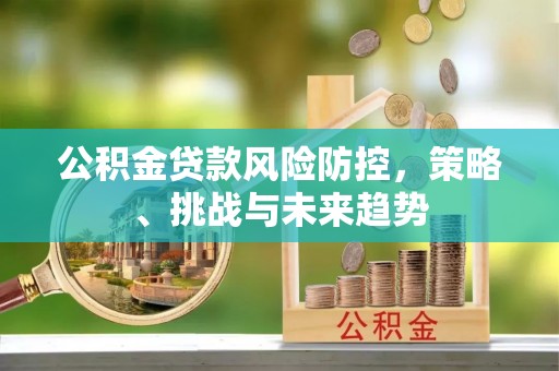 中堂公积金贷款风险防控，策略、挑战与未来趋势