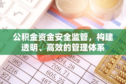 中堂公积金资金安全监管，构建透明、高效的管理体系