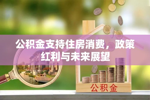 中堂公积金支持住房消费，政策红利与未来展望