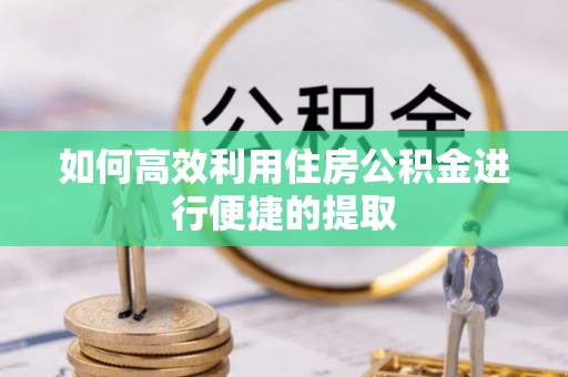 中堂如何高效利用住房公积金进行便捷的提取